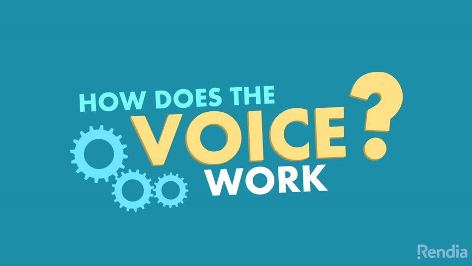 You are currently viewing How The Voice Works